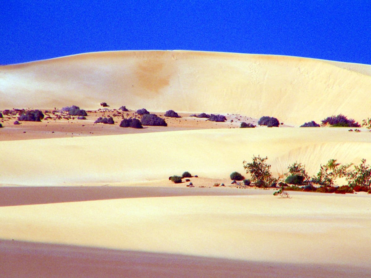 6 soveværelse Byhus til salg i Parque Holandes med garage - € 595.000 (Ref: 8476460)