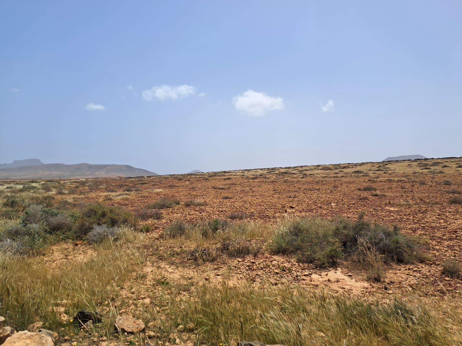 Undeveloped Land for sale in Antigua - € 85,000 (Ref: 9818635)