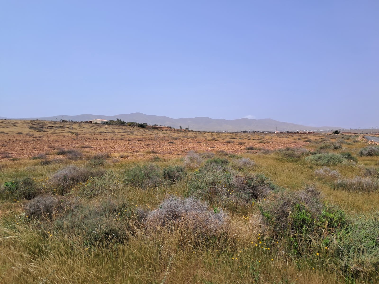 Undeveloped Land for sale in Antigua - € 85,000 (Ref: 9818635)