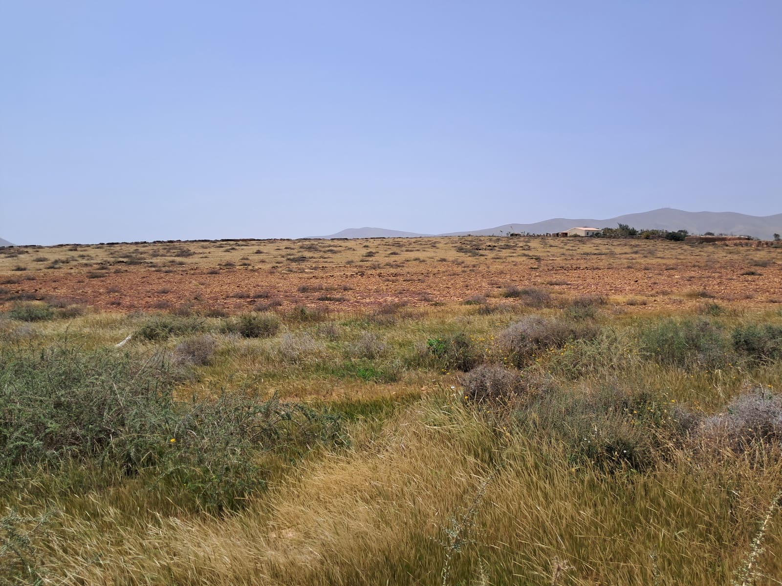 Undeveloped Land for sale in Antigua - € 85,000 (Ref: 9818635)