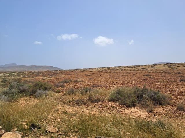 Undeveloped Land for sale in Antigua - € 85,000 (Ref: 9818635)