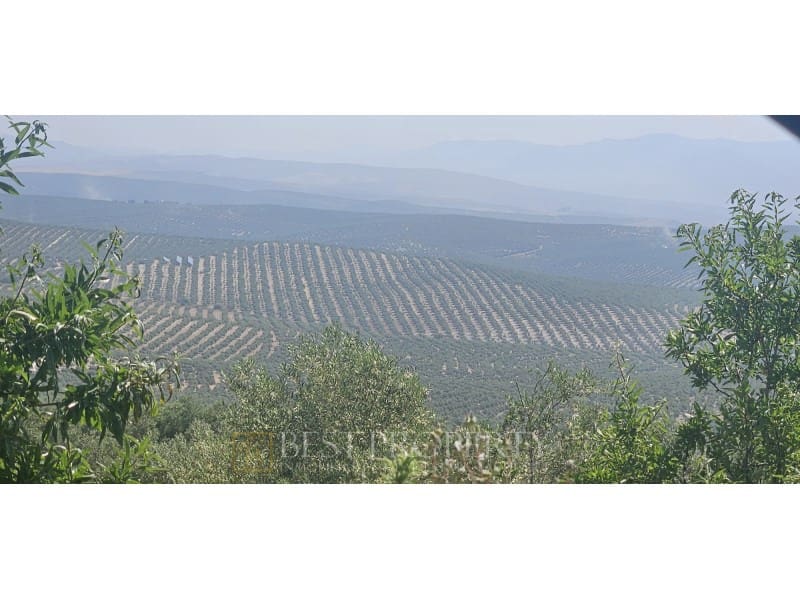 Ubebygd land til salgs i Torreperogil - € 1 600 000 (Ref: 9845321)