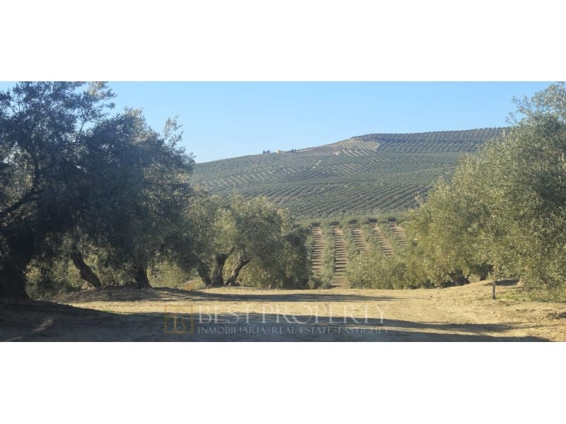 Ubebygd land til salgs i Torreperogil - € 1 600 000 (Ref: 9845321)