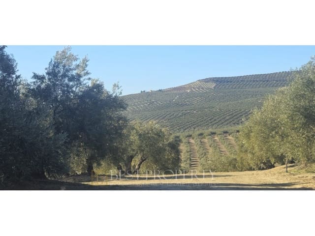 Ubebygd land til salgs i Torreperogil - € 1 600 000 (Ref: 9845321)
