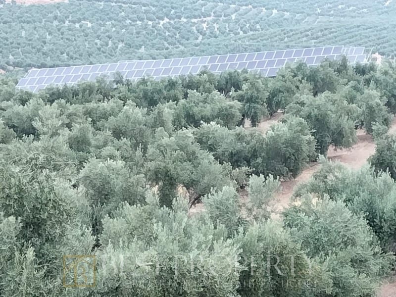Ubebygd land til salgs i Torreperogil - € 1 600 000 (Ref: 9845321)