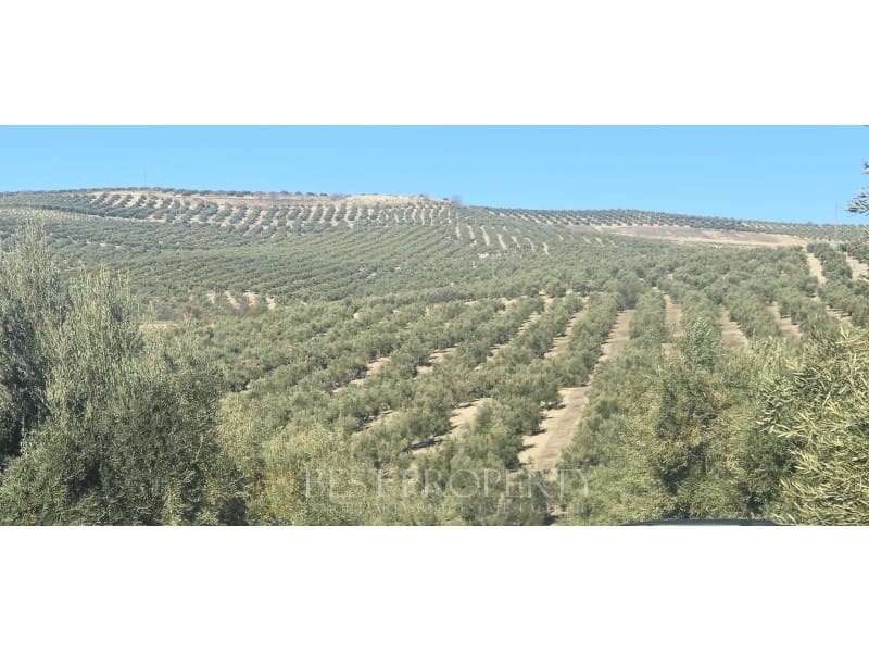 Ubebygd land til salgs i Torreperogil - € 1 600 000 (Ref: 9845321)
