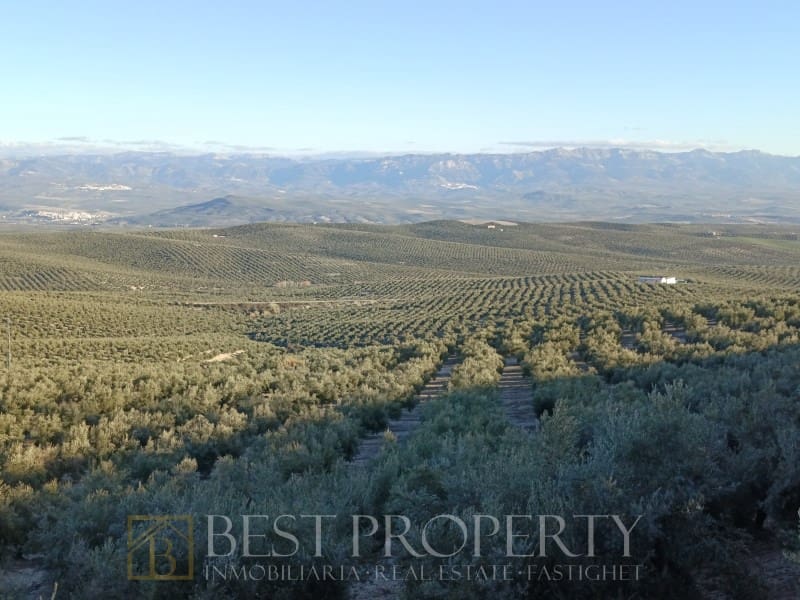 Ubebygd land til salgs i Torreperogil - € 1 600 000 (Ref: 9845321)