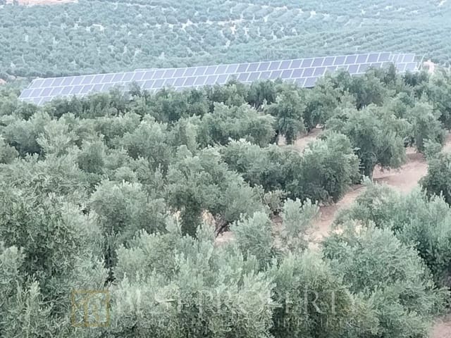 Ubebygd land til salgs i Torreperogil - € 1 600 000 (Ref: 9845321)
