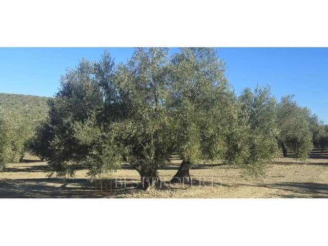 Ubebygd land til salgs i Torreperogil - € 1 600 000 (Ref: 9845321)
