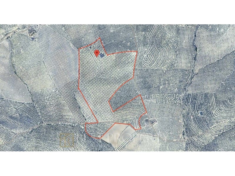 Ubebygd land til salgs i Torreperogil - € 1 600 000 (Ref: 9845321)