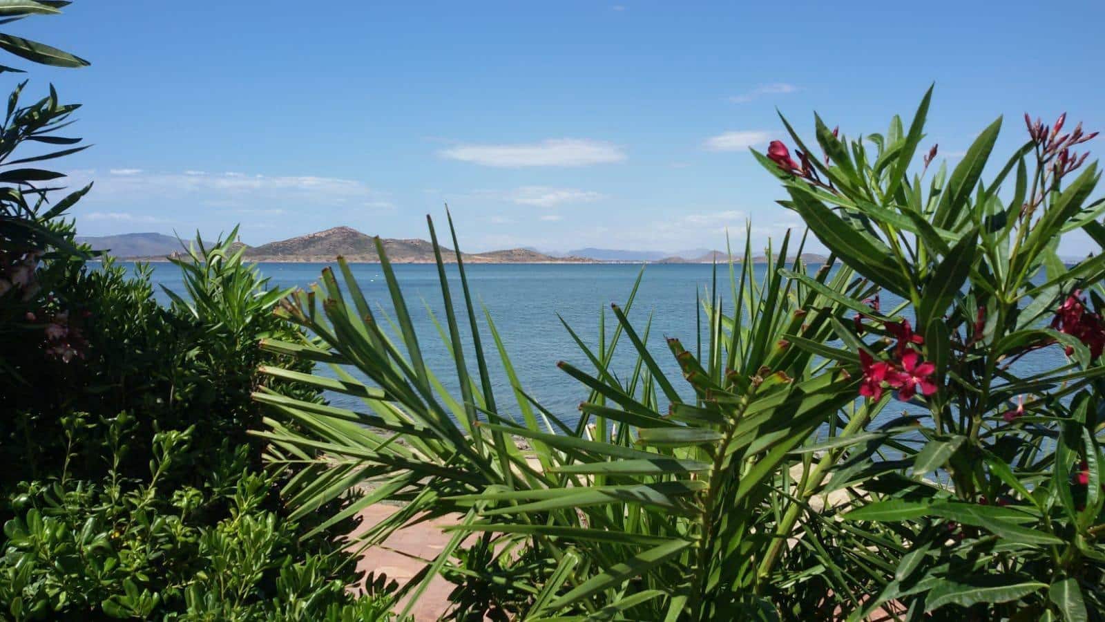 3 soveværelse Bungalow til salg i La Manga del Mar Menor med garage - € 299.000 (Ref: 9208348)