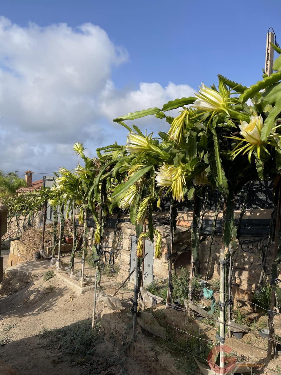 3 slaapkamer Finca/Landhuis te koop in Lobres met zwembad - € 402.900 (Ref: 10000085)