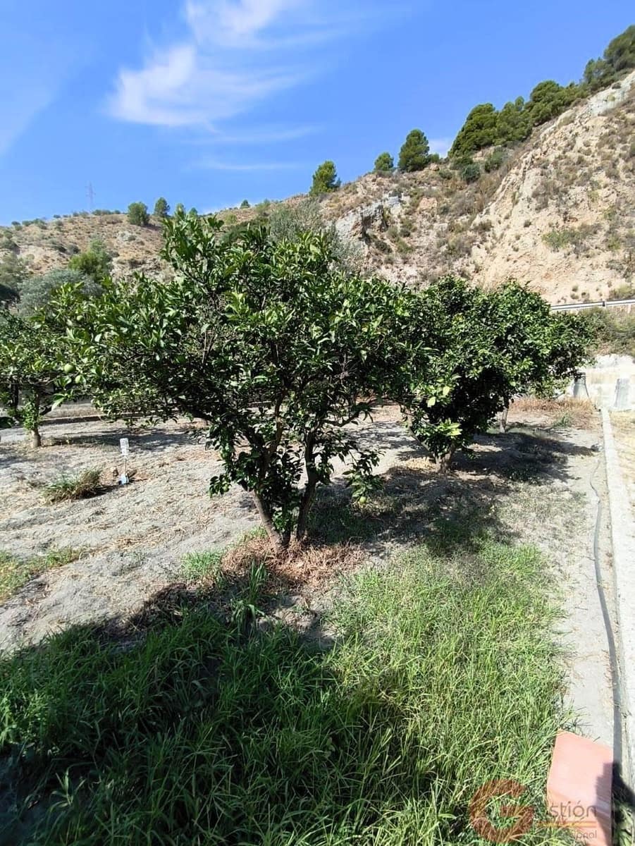 2 Zimmer Finca/Landgut zu verkaufen in Velez de Benaudalla - 117.000 € (Ref: 10090047)