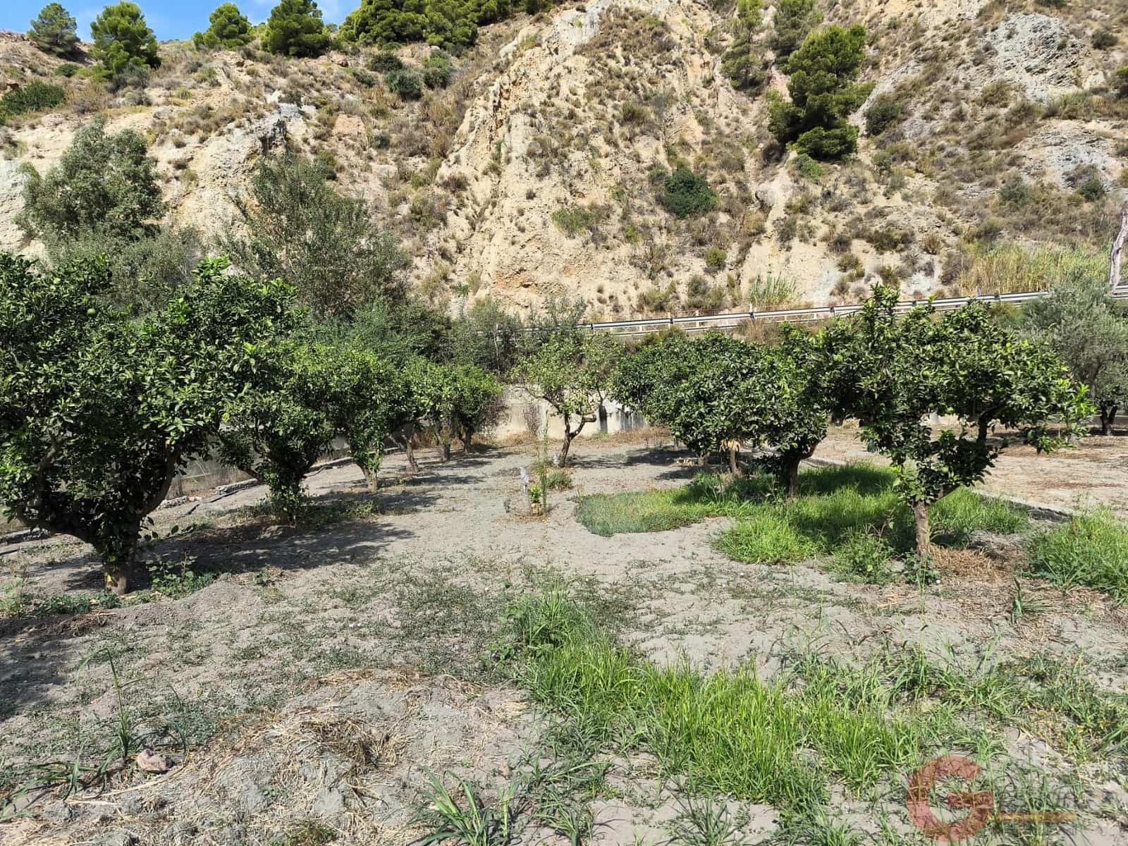 2 Zimmer Finca/Landgut zu verkaufen in Velez de Benaudalla - 117.000 € (Ref: 10090047)