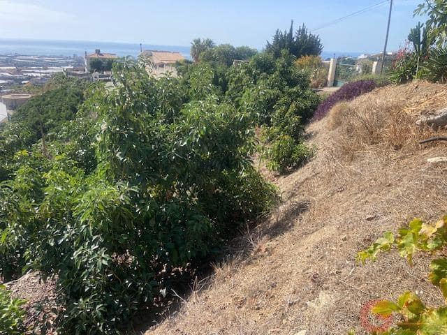3 sovrum Finca/Hus på landet till salu i Algarrobo med garage - 750 000 € (Ref: 10164971)