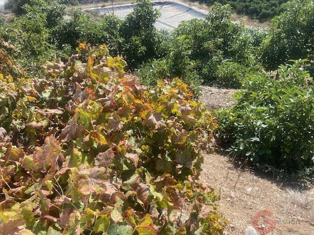 3 sovrum Finca/Hus på landet till salu i Algarrobo med garage - 750 000 € (Ref: 10164971)