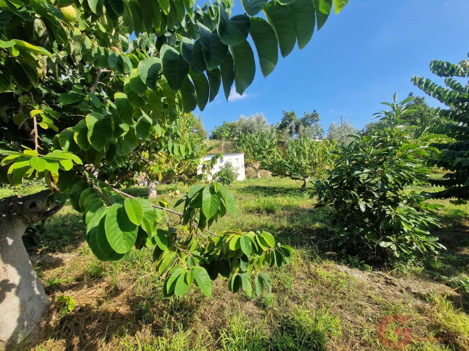 2 soveværelse Finca/Landehus til salg i Salobrena - € 214.000 (Ref: 10166633)