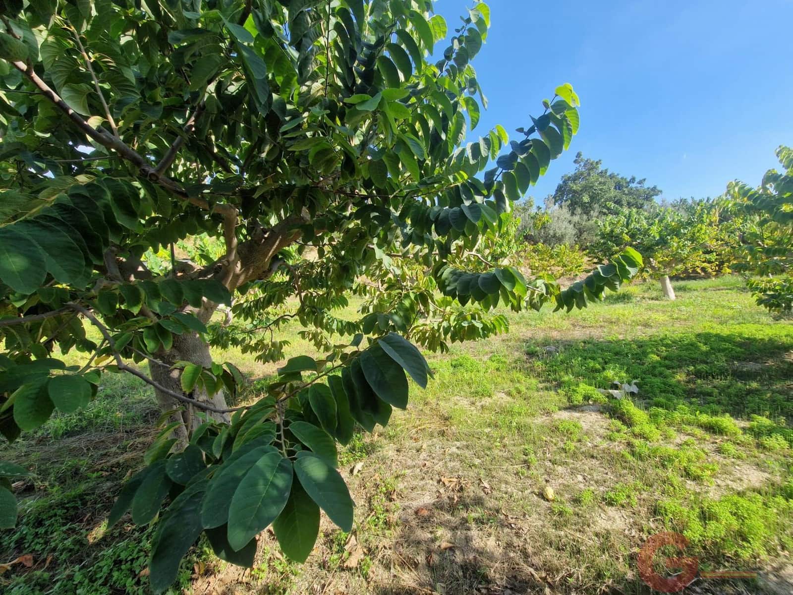 2 soveværelse Finca/Landehus til salg i Salobrena - € 214.000 (Ref: 10166633)