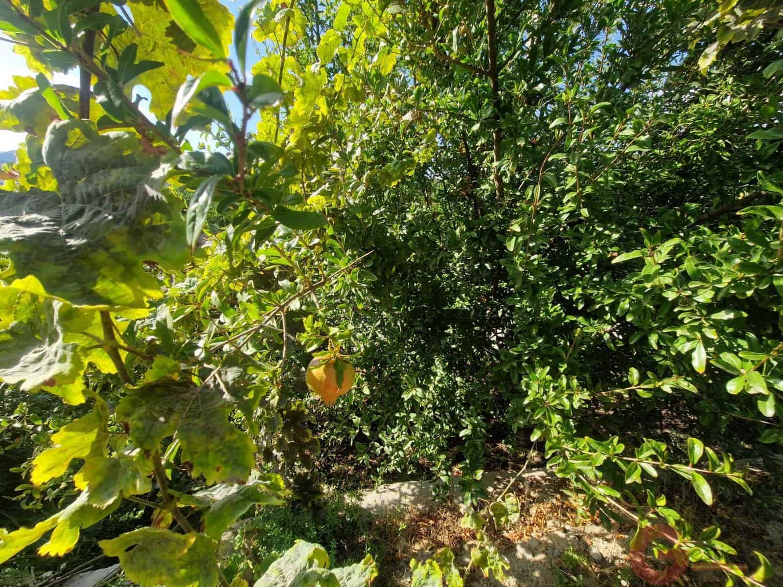 2 soveværelse Finca/Landehus til salg i Salobrena - € 214.000 (Ref: 10166633)
