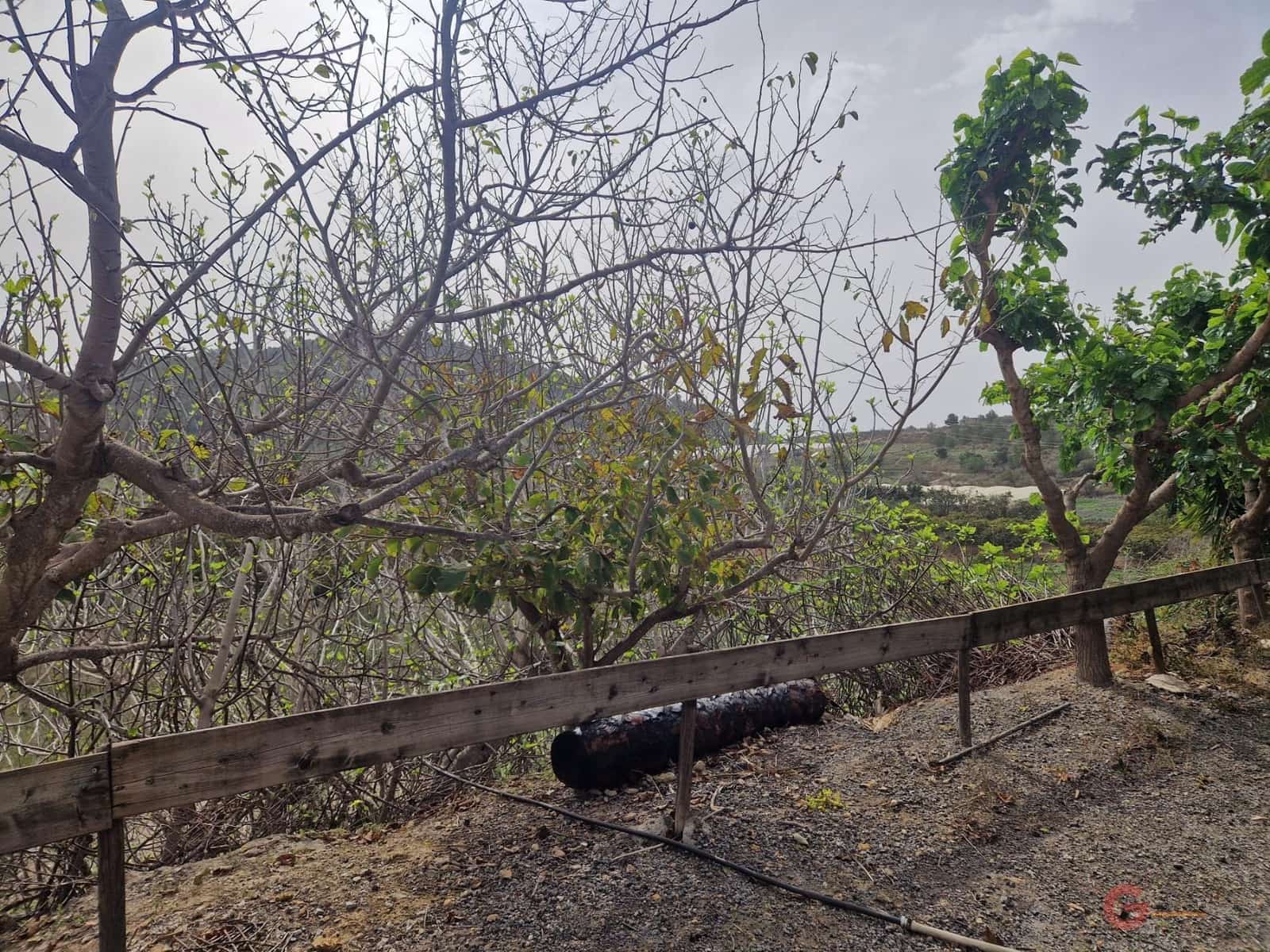 4 camera da letto Finca/Casa di Campagna in vendita in Molvizar con piscina garage - 370.000 € (Rif: 3510852)