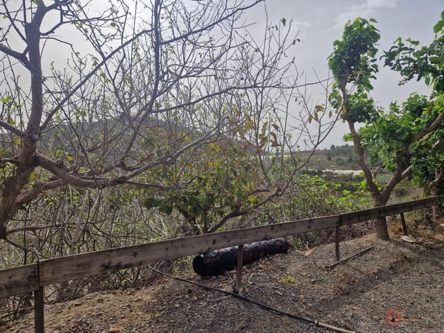 4 chambre Finca/Maison de Campagne à vendre à Molvízar avec piscine garage - 370 000 € (Ref: 3510852)