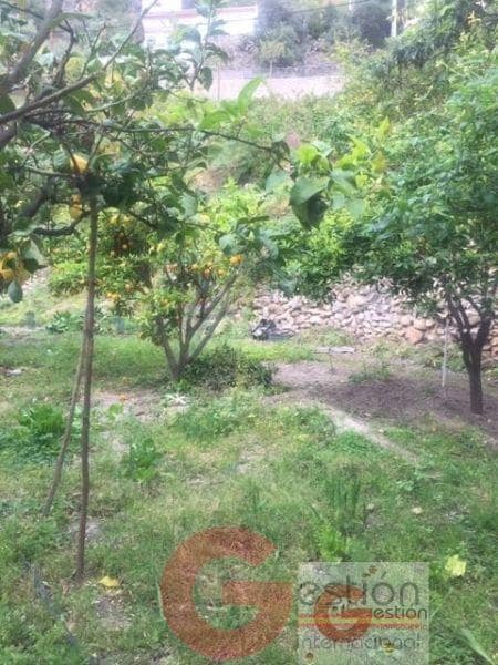 Erhverv til salg i Otivar med garage - € 1.575.000 (Ref: 4649181)