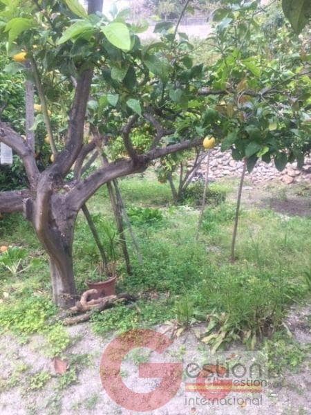 Erhverv til salg i Otivar med garage - € 1.575.000 (Ref: 4649181)