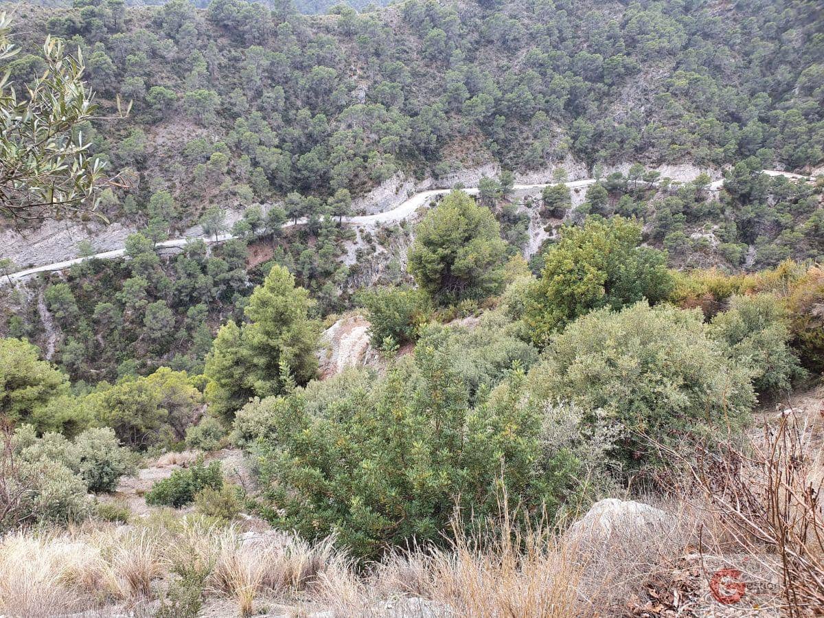 Finca/Country House for sale in Guajar Alto - € 303,000 (Ref: 6647567)