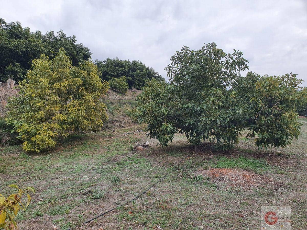 Finca/Country House for sale in Guajar Alto - € 303,000 (Ref: 6647567)