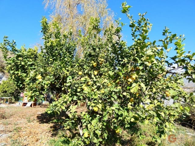 2 bedroom Finca/Country House for sale in Motril - € 210,000 (Ref: 6693836)