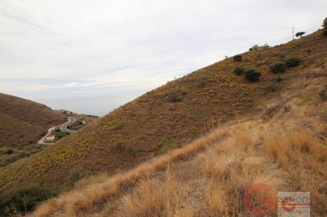 Building Plot for sale in Itrabo - € 45,000 (Ref: 6754559)