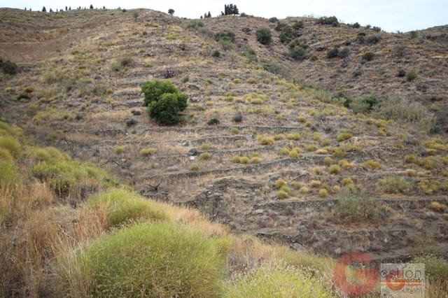 Building Plot for sale in Itrabo - € 45,000 (Ref: 6754559)