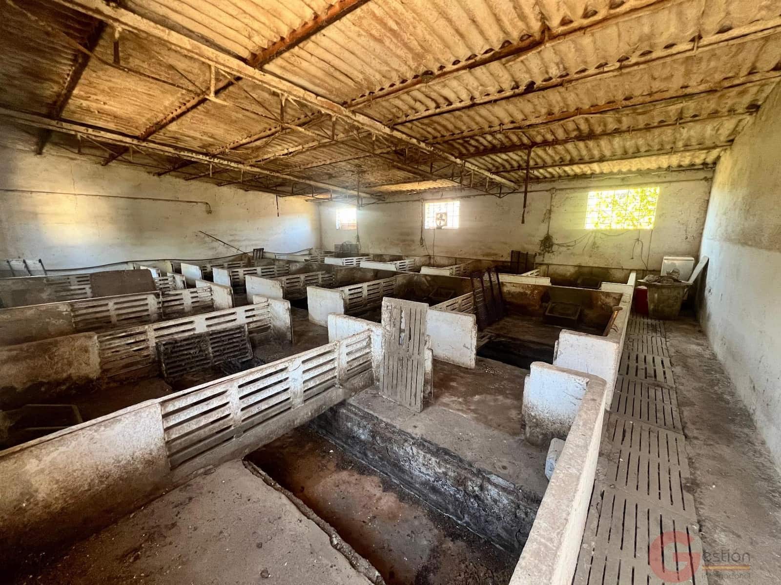 4 sypialnia Finka/Dom wiejski na sprzedaż w Motril - 159 000 € (Ref: 6787067)