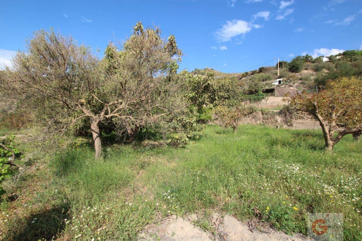 Byggetomt til salgs i Velez de Benaudalla - € 69 000 (Ref: 6844748)