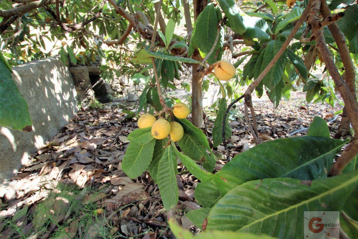 Byggetomt til salgs i Velez de Benaudalla - € 69 000 (Ref: 6844748)