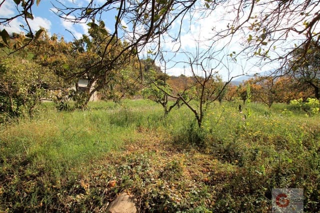 Building Plot for sale in Vélez de Benaudalla - € 69,000 (Ref: 6844748)