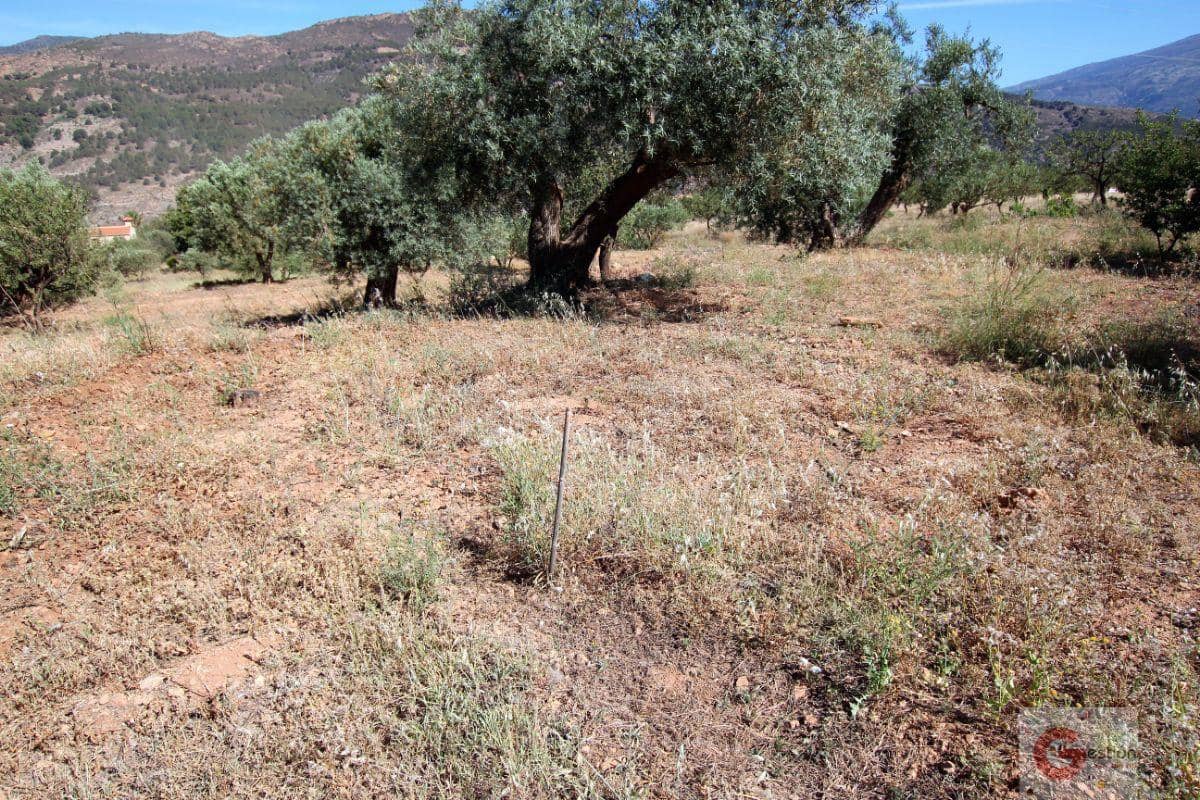 Bouwgrond te koop in Velez de Benaudalla - € 46.000 (Ref: 6923520)