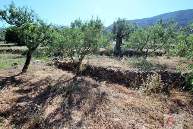 Building Plot for sale in Vélez de Benaudalla - € 46,000 (Ref: 6923520)