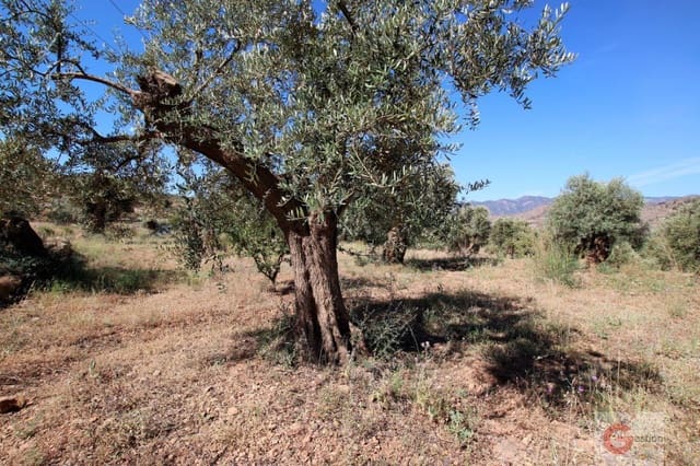 Building Plot for sale in Vélez de Benaudalla - € 46,000 (Ref: 6923520)