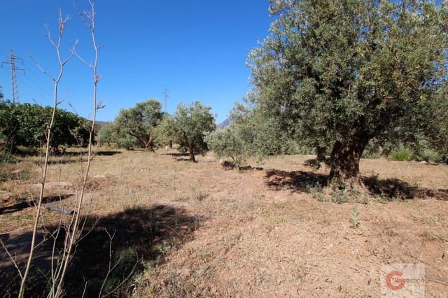 Building Plot for sale in Vélez de Benaudalla - € 46,000 (Ref: 6923520)