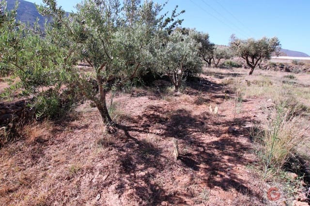Building Plot for sale in Vélez de Benaudalla - € 46,000 (Ref: 6923520)