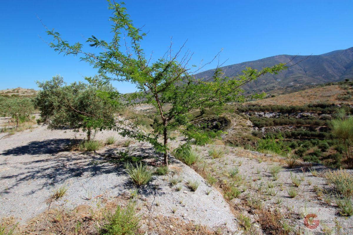 1 soveværelse Finca/Landehus til salg i Velez de Benaudalla - € 61.000 (Ref: 6923524)