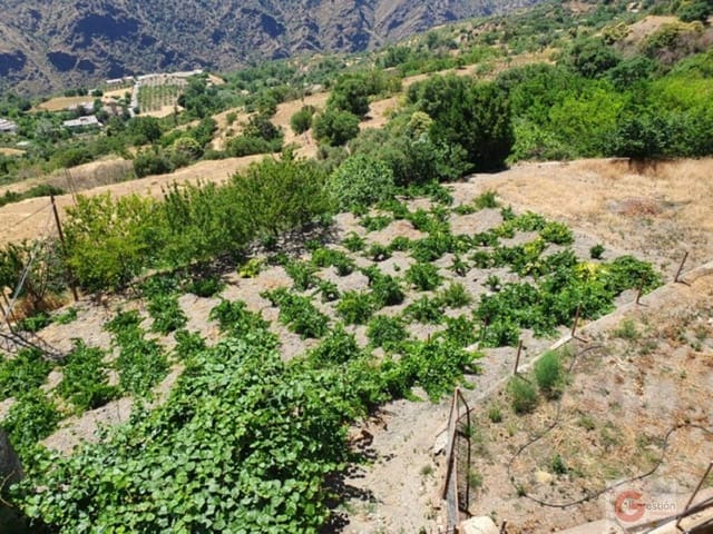 Local Commercial à vendre à Pitres, La Taha - 450 000 € (Ref: 6999375)