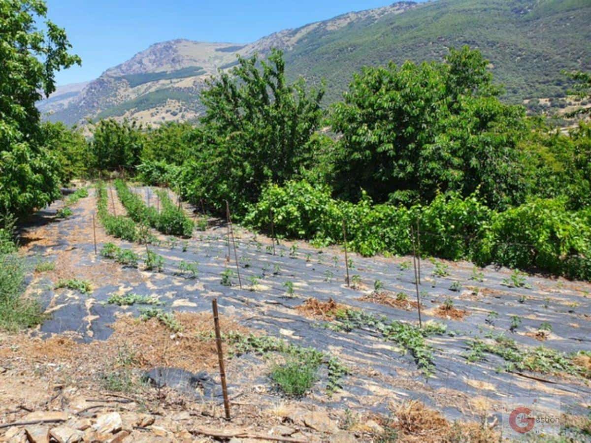 4 soveværelse Finca/Landehus til salg i Busquistar med swimmingpool - € 560.000 (Ref: 6999376)