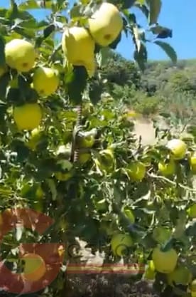 4 slaapkamer Finca/Landhuis te koop in Busquistar met zwembad - € 560.000 (Ref: 6999376)