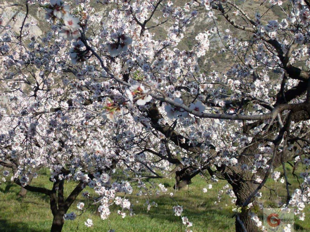 3 sovrum Villa till salu i Orgiva med pool - 450 000 € (Ref: 7021064)