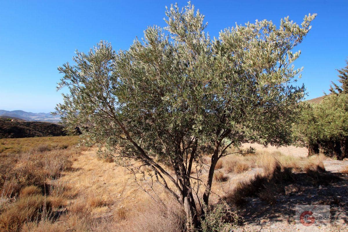 1 soveværelse Finca/Landehus til salg i Velez de Benaudalla - € 180.000 (Ref: 7108935)