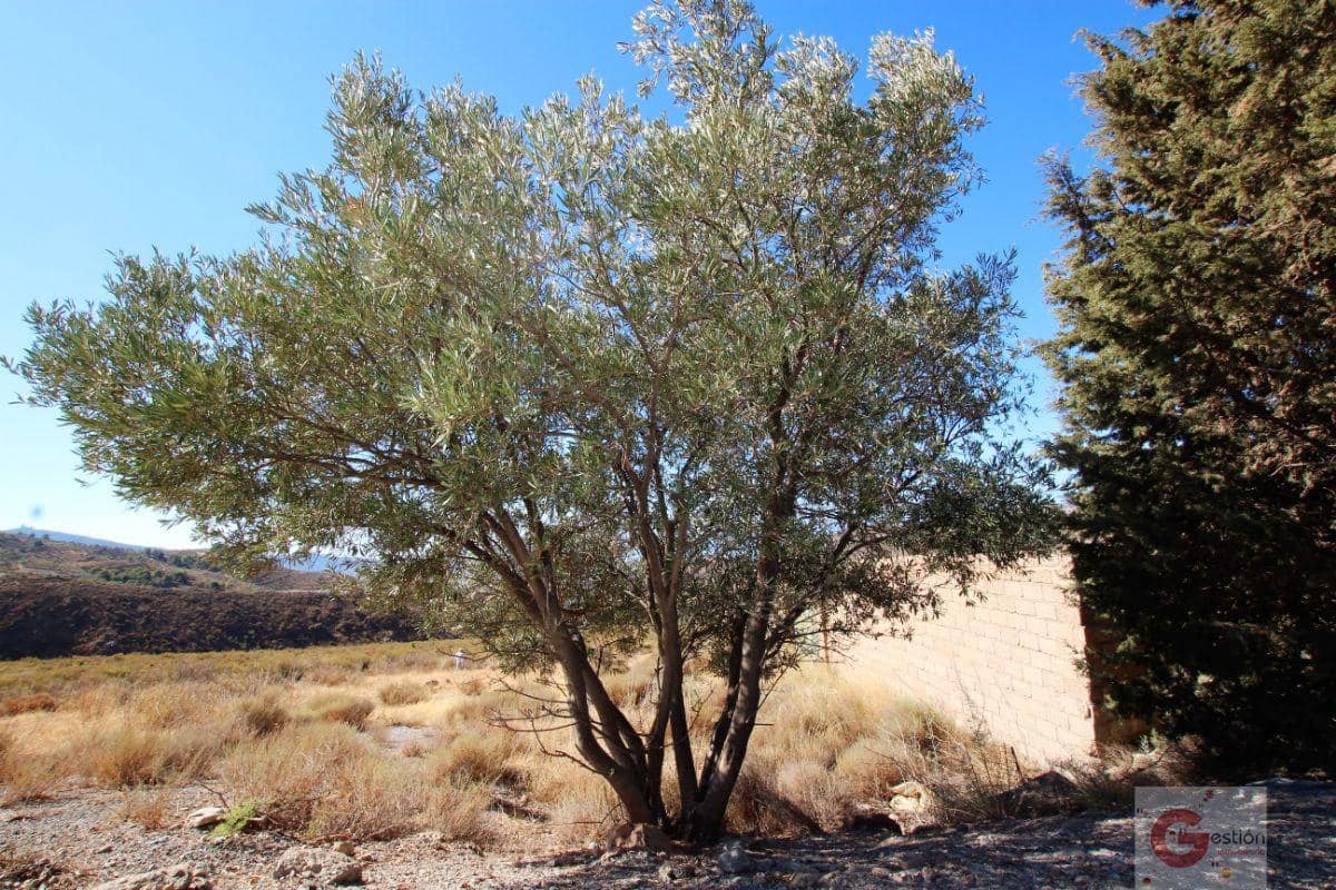 1 soveværelse Finca/Landehus til salg i Velez de Benaudalla - € 180.000 (Ref: 7108935)