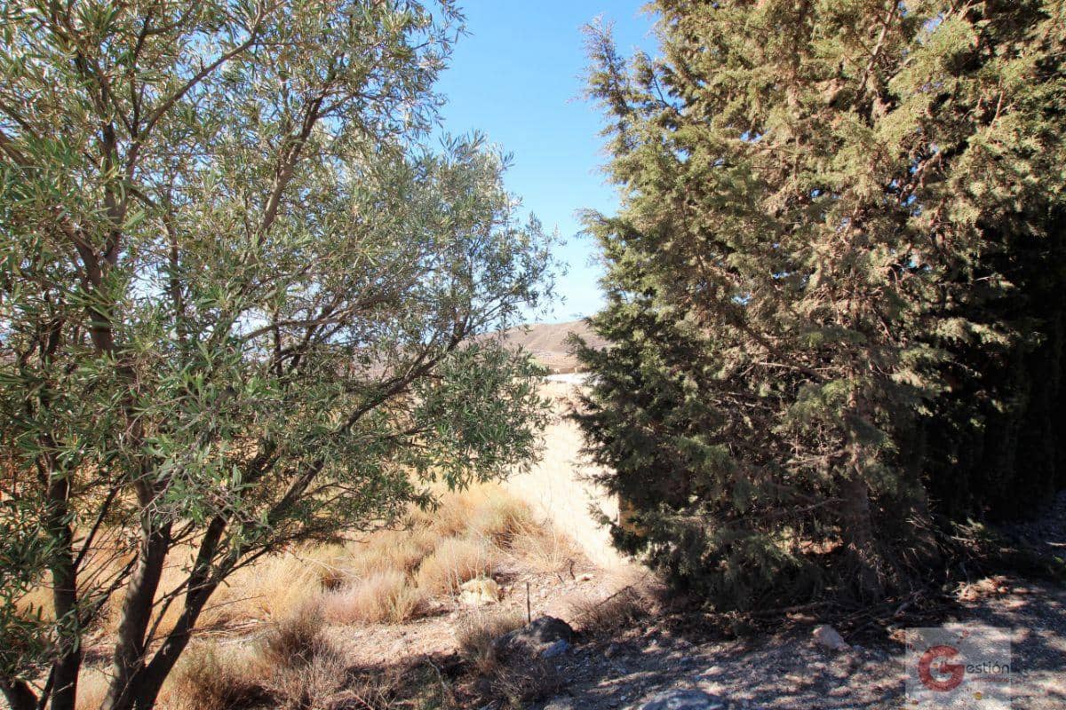 1 soveværelse Finca/Landehus til salg i Velez de Benaudalla - € 180.000 (Ref: 7108935)