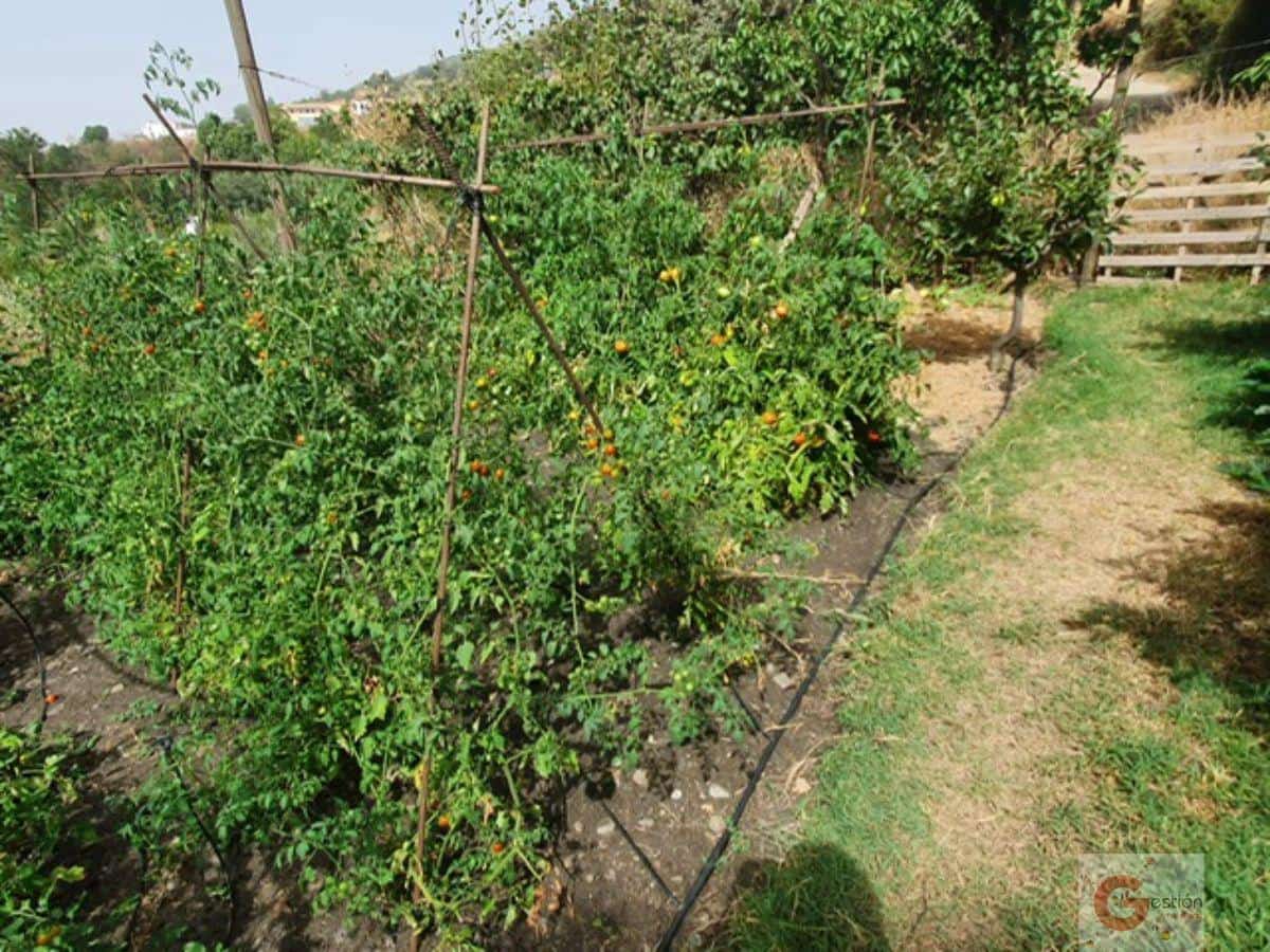 4 soveværelse Finca/Landehus til salg i Portugos med swimmingpool garage - € 610.000 (Ref: 7108972)